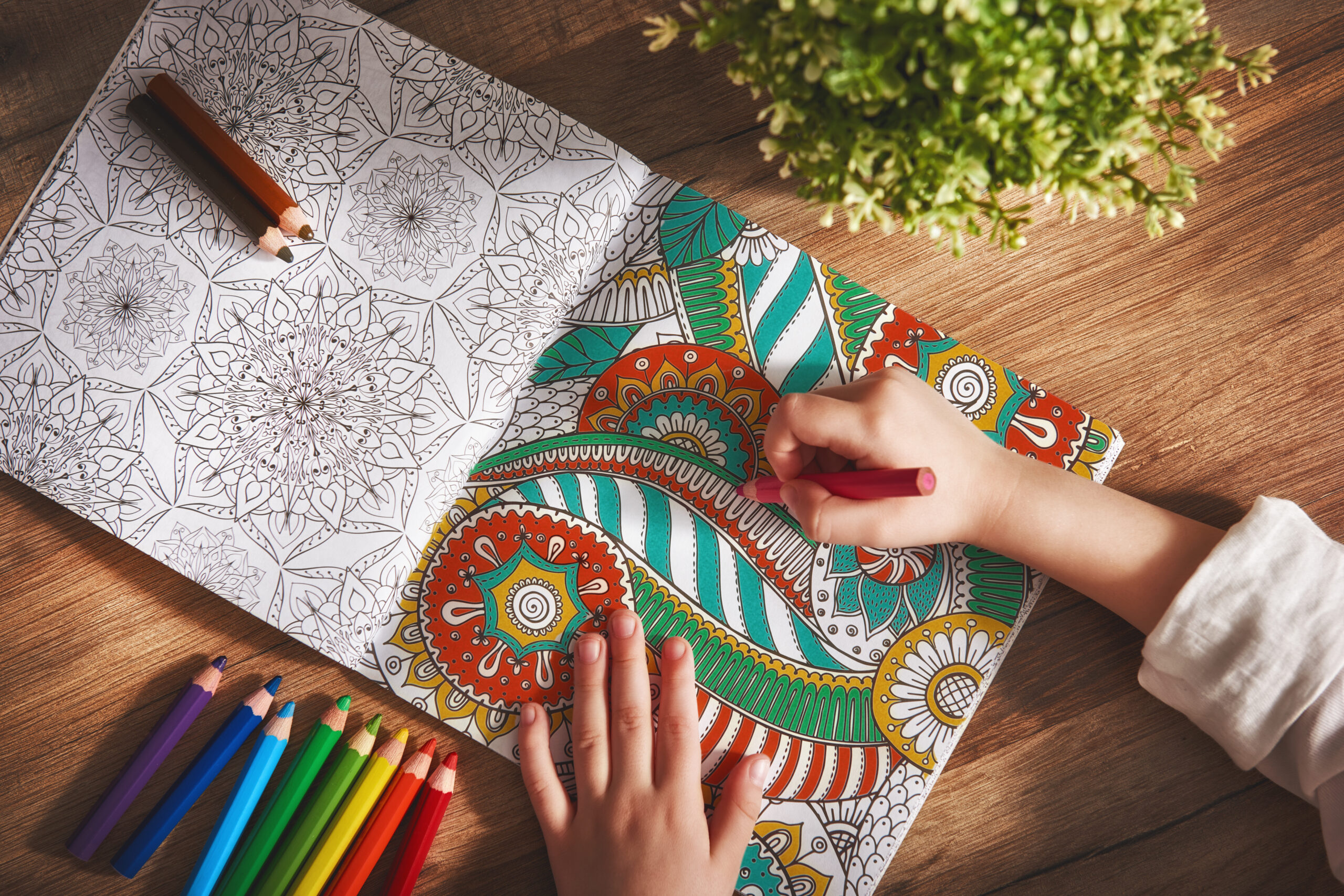 coloring book